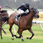 Promising 3YO Filly Ballet Suite on Classic Course Promising 3YO Filly Ballet Suite on Classic Course
